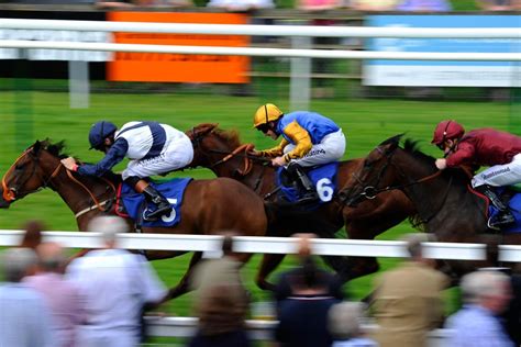 horse racing results today fast results today uk